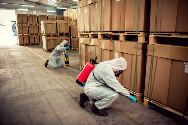 Best Termite Control Services  in Navajo, NM