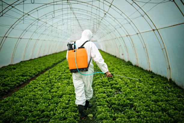 Best Pest Inspection Near Me  in Navajo, NM
