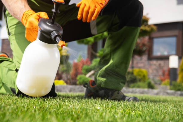 Best Local Pest Control Services  in Navajo, NM