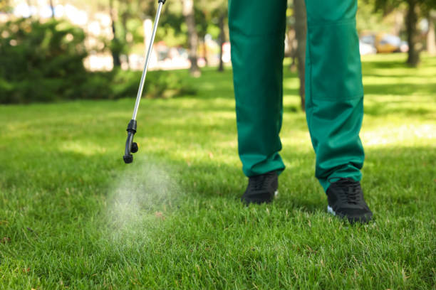 Best Exterminator Services  in Navajo, NM