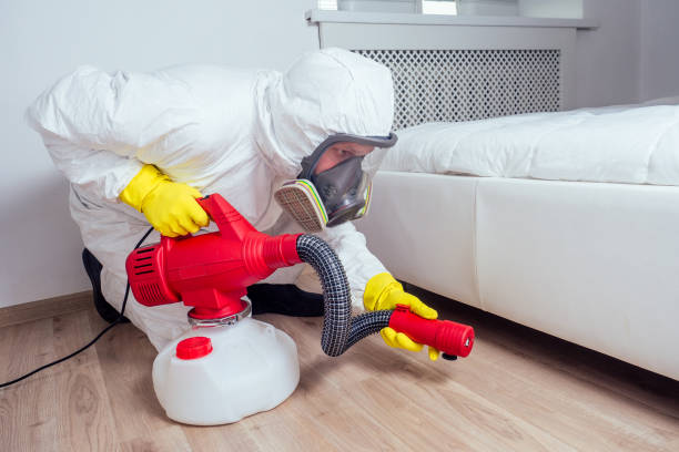Best Local Pest Control Services  in Navajo, NM