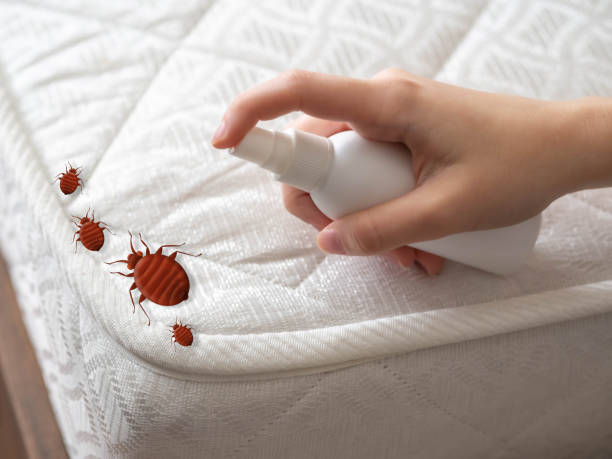 Best Pest Removal Services  in Navajo, NM