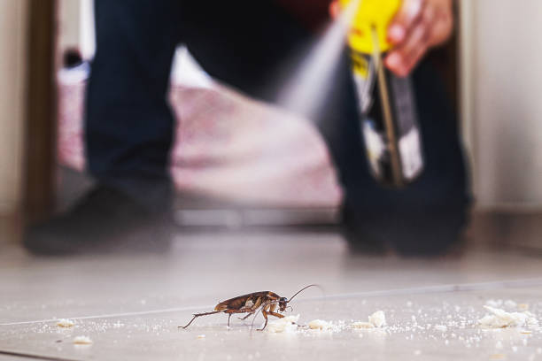 Professional Pest Control in Navajo, NM