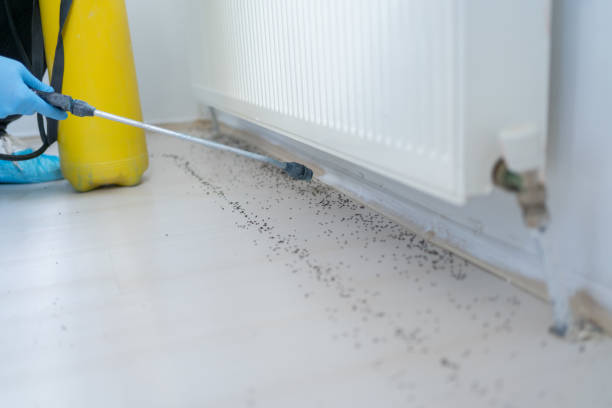 Best Residential Pest Control  in Navajo, NM